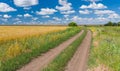 Ukrainian rural landscape with wheat field and dirty road Royalty Free Stock Photo