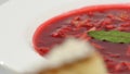 Ukrainian and russian national food - red beet soup borscht with beef.Moldovan soup. Close up. plate of beetroot cream Royalty Free Stock Photo