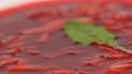 Ukrainian and russian national food - red beet soup borscht with beef.Moldovan soup. Close up. plate of beetroot cream Royalty Free Stock Photo