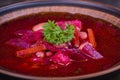 Ukrainian and russian national food - red beet soup, borscht Royalty Free Stock Photo