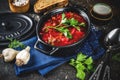 Ukrainian Russian soup borsch Royalty Free Stock Photo