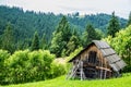 Beautiful log shed and forest Royalty Free Stock Photo