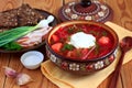 Ukrainian soup borsch Royalty Free Stock Photo