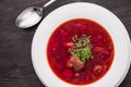 Ukrainian soup borsch Royalty Free Stock Photo