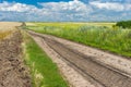 Ukrainian summer landscape with corn fields and road