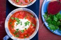 Ukrainian traditional borsch. Russian vegetarian red soup in blue bowl on red wooden background. Borscht, borshch with beet. Two Royalty Free Stock Photo