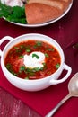 Ukrainian traditional borsch. Russian vegetarian red soup in white bowl on red wooden background. Borscht, borshch with beet. Royalty Free Stock Photo