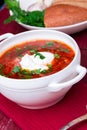 Ukrainian traditional borsch. Russian vegetarian red soup in white bowl on red wooden background. Borscht, borshch with beet. Royalty Free Stock Photo