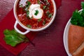 Ukrainian traditional borsch. Russian vegetarian red soup in white bowl on red wooden background. Top view. Borscht, borshch wit Royalty Free Stock Photo