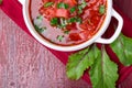 Ukrainian traditional borsch. Russian vegetarian red soup in white bowl on red wooden background. Top view. Borscht, borshch wit Royalty Free Stock Photo