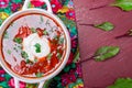 Ukrainian traditional borsch. Russian vegetarian red soup in white bowl on red wooden background. Top view. Borscht, borshch wit Royalty Free Stock Photo