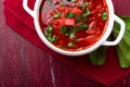 Ukrainian traditional borsch. Russian vegetarian red soup in white bowl on red wooden background. Top view. Borscht, borshch wit Royalty Free Stock Photo