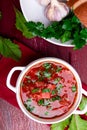 Ukrainian traditional borsch. Russian vegetarian red soup in white bowl on red wooden background. Top view. Borscht, borshch wit Royalty Free Stock Photo