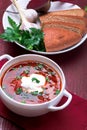 Ukrainian traditional borsch. Russian vegetarian red soup in white bowl on red wooden background. Borscht, borshch with beet. Royalty Free Stock Photo