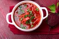 Ukrainian traditional borsch. Russian vegetarian red soup in white bowl on red wooden background. Top view. Borscht, borshch wit Royalty Free Stock Photo