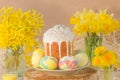 Ukrainian traditional Easter bread paska or kulich. Royalty Free Stock Photo