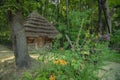 Ukrainian traditional wooden house straw roof spring time garden green outdoor environment with flowers Royalty Free Stock Photo