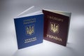 Ukrainian travel passport with cool loght
