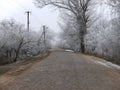 Ukrainian village in winter. Village road and trees in hoarfrost