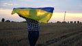 Ukrainian woman walking on barley meadow with a blue-yellow banner on shoulders at sunset. Lady going on wheat field Royalty Free Stock Photo