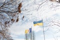 Yellow and blue flag and coat of arms of Ukrainian town Izmail flying on blue cloudy sky background with tree btanches