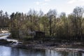 Ukranian landscape in the forest. Pine forest with a river name Psel in city Sumy. Pine trees on a river bank in Ukraine.