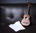 Ukulele and Blank Music Paper. Royalty Free Stock Photo