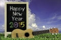 Ukulele with blue sky and Blackboard 2015 text on the grass. Royalty Free Stock Photo