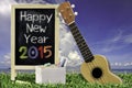 Ukulele with blue sky and Blackboard 2015 text on the grass. Royalty Free Stock Photo