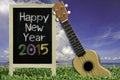 Ukulele with blue sky and Blackboard 2015 text on the grass. Royalty Free Stock Photo