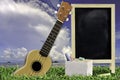 Ukulele with blue sky and Blank Blackboard on green grass. Royalty Free Stock Photo