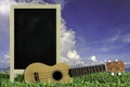 Ukulele with blue sky and Blank Blackboard on green grass. Royalty Free Stock Photo