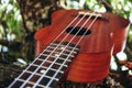 Ukulele guitar at the mountain nature autumn dry yellow grass. P