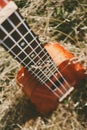 Ukulele guitar at the mountain nature autumn dry yellow grass. P