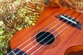 Ukulele guitar at the mountain nature autumn dry yellow grass. P