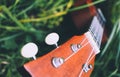 Ukulele guitar at the mountain nature forest grass. Photo depict Royalty Free Stock Photo