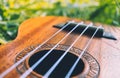 Ukulele guitar at the mountain nature forest grass. Photo depict Royalty Free Stock Photo