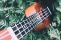 Ukulele guitar at the mountain nature forest grass. Photo depict Royalty Free Stock Photo