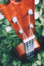 Ukulele guitar at the mountain nature forest grass. Photo depict Royalty Free Stock Photo