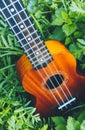 Ukulele guitar at the mountain nature forest grass. Photo depict Royalty Free Stock Photo