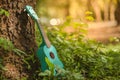 Ukulele guitar at the mountain nature pine forest Royalty Free Stock Photo