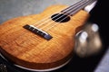 ukulele with hard case Royalty Free Stock Photo