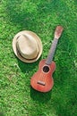 Ukulele with hat on green grass Royalty Free Stock Photo