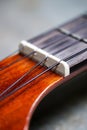 Ukulele nut and nylon string Royalty Free Stock Photo