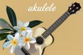 Ukulele and plumeria flowers on a plain background, text UKULELE Royalty Free Stock Photo