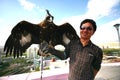 Ulaanbaatar Mongolia July 3 ,2016 - The man catch a Hawk at Zaisan Memorial Royalty Free Stock Photo