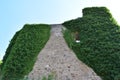 Ulmen, Germany - 08 09 2022: Castle wall with plants