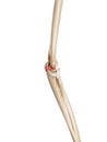 The ulnar collateral ligament anterior