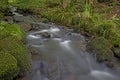 little brook in forest Royalty Free Stock Photo