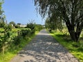 Ulster Canal walk in Clones, Monaghan, Ireland Royalty Free Stock Photo